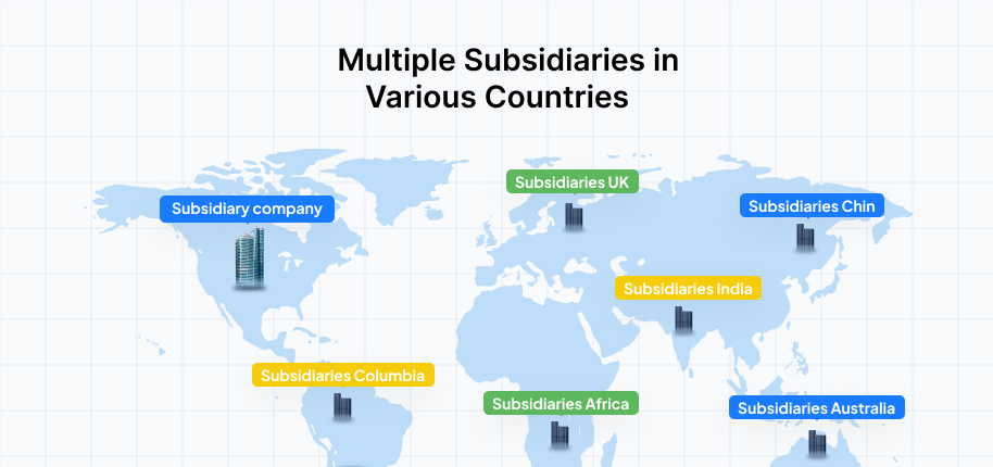 Multiple Subsidiaries in Various Countries