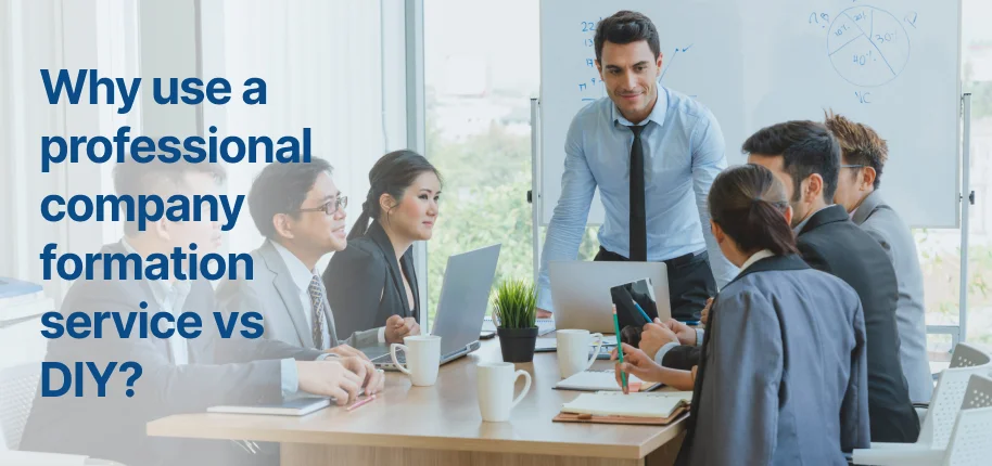Professional Company Formation Service vs DIY